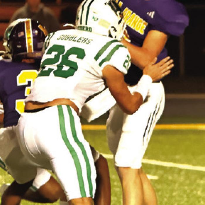 Football Playoff Previews