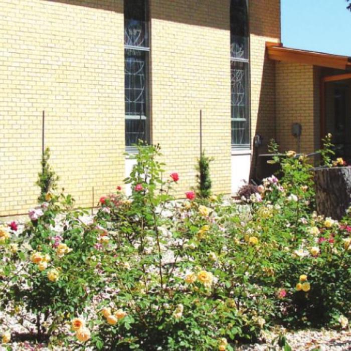 Queen of the Holy Rosary Church – As it Was