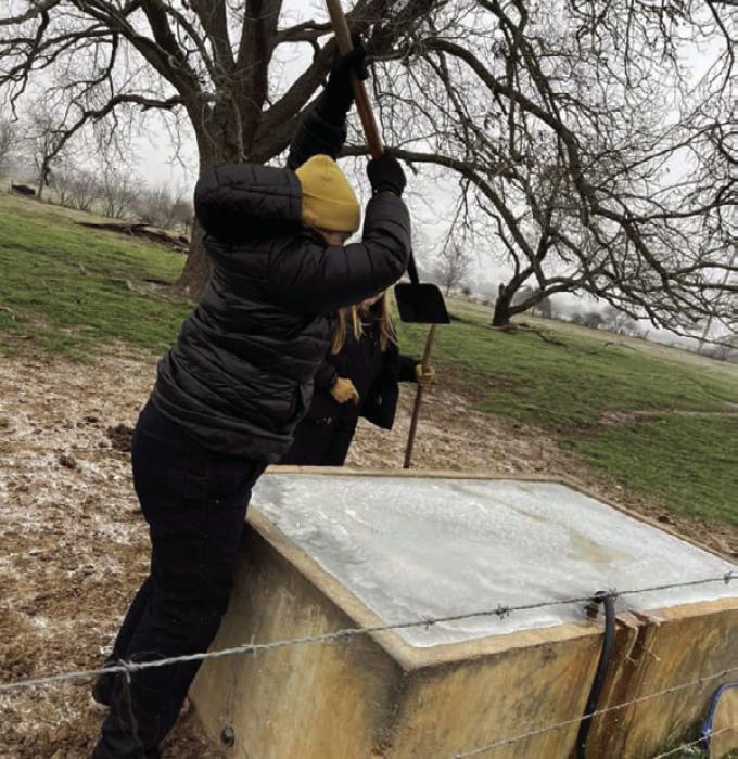 Amanda Hart sent us this photo of Raynee and Saydee Hart trying to break the ice covering a water trough.