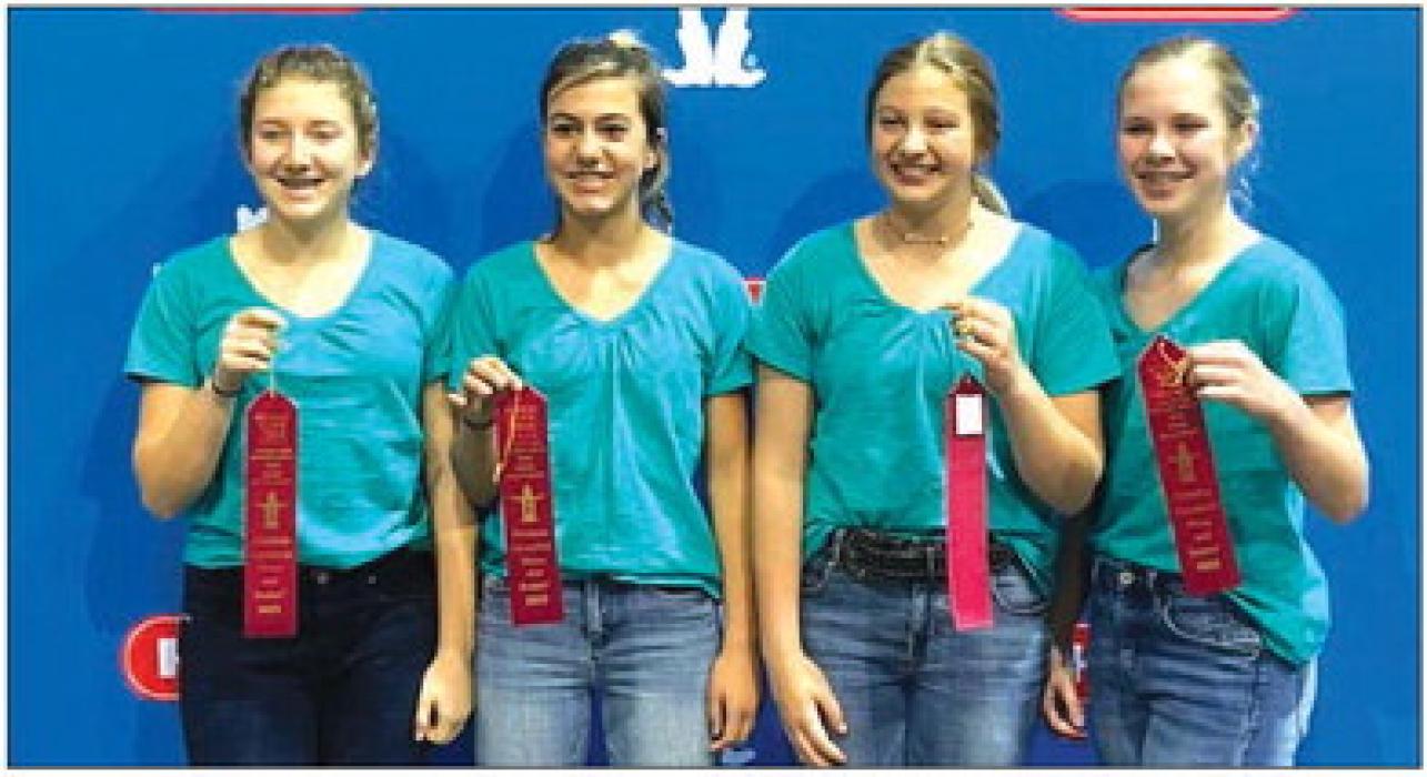 The Fayette County 4-H Junior Team consisting of Reagan Williams, Bree Dooley, Rebekah Sacks and Madison Markwardt placed 2nd in the Junior Healthy Dessert Category.