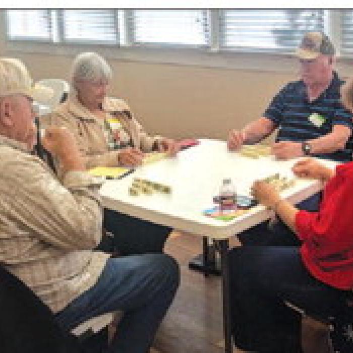 Senior Citizens Game Days On the Grow in La Grange