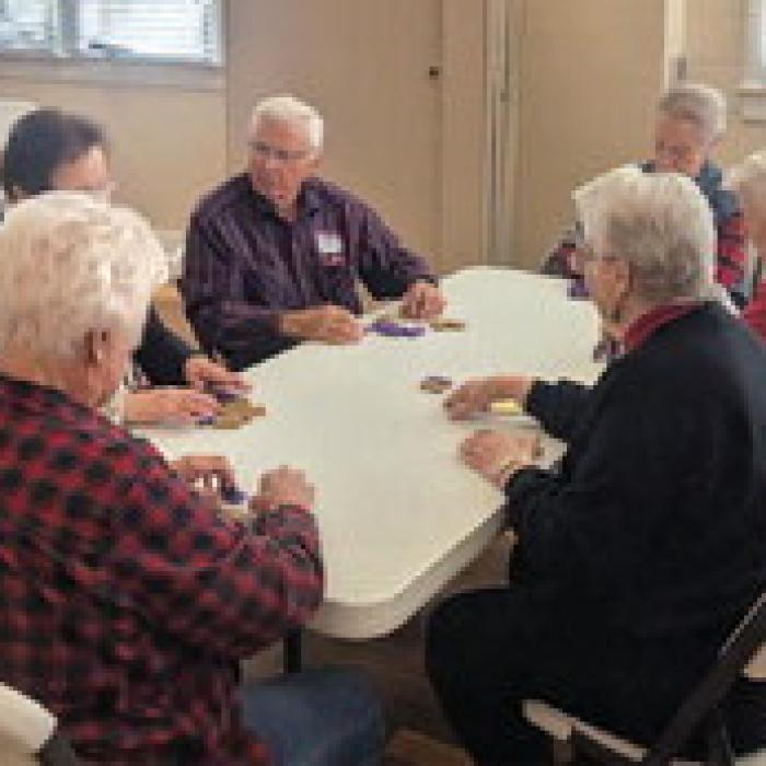 Here are some images of the fun at Senior Citizen Game Days in La Grange, left to right: dominos, snacks galore and a rummikub game.