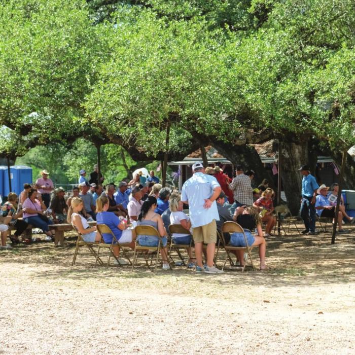 A big crowd listens to the auction under the shade of an oak tree at the Dubina Picnic on Sunday, July 3.