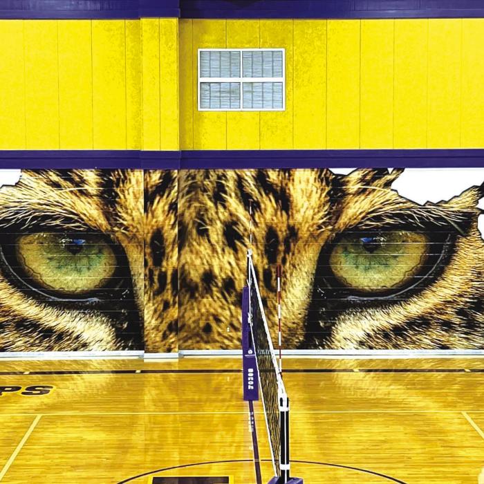Giant Lep Mural in Memory of Emily Fritsch