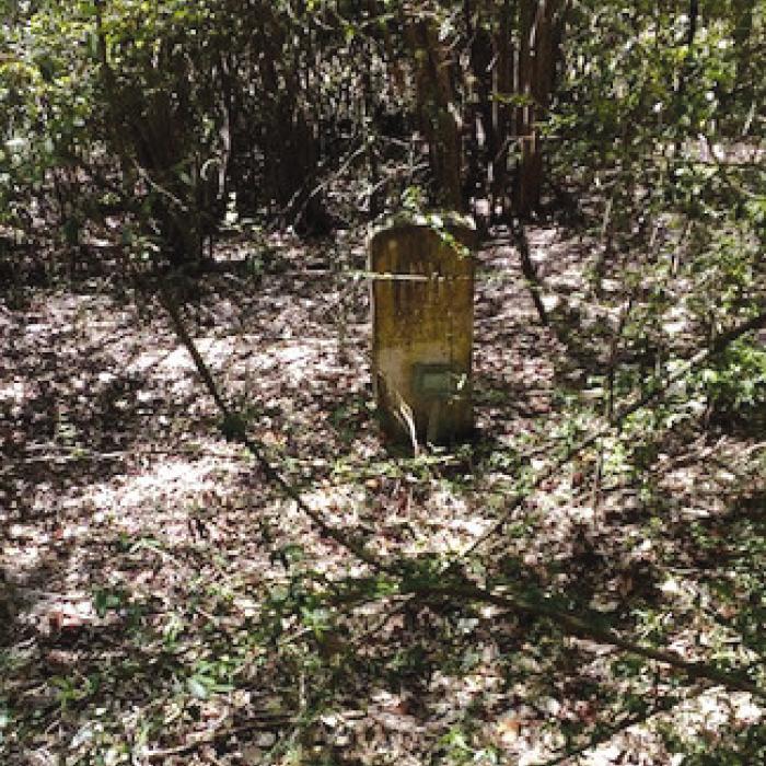 Pictured above is one of the historic gravestones in Mt. Olive.