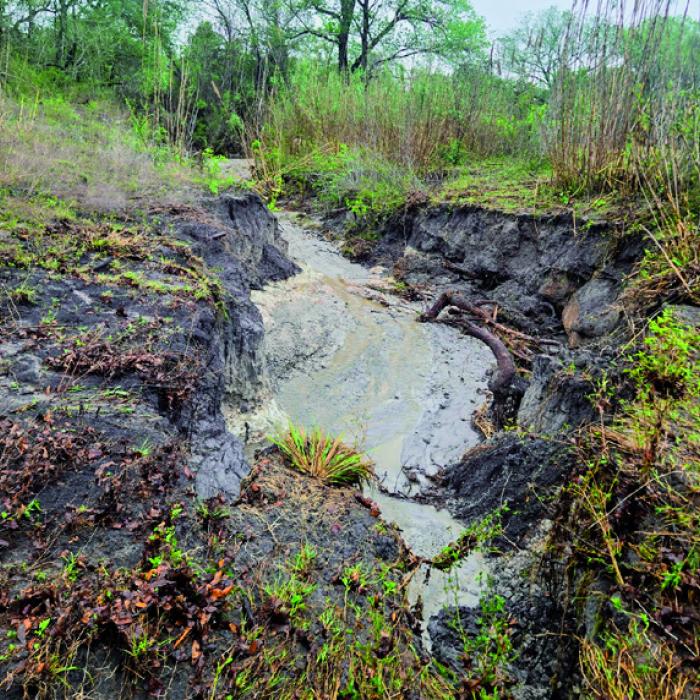 Pct. 3 Commissioner Harvey Berckenhoff shared this photo of a large washout that formed along Kainer Rd. during the storm on Sunday. He said the washout is on private property, but the County will need to fill it because it is impacting the integrity of the road.