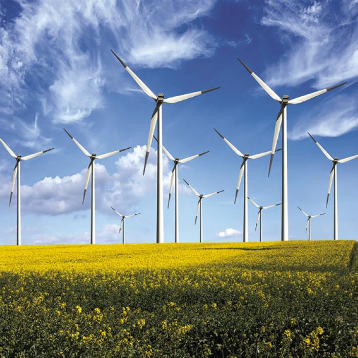 County Passes Resolution Against Wind Energy Development