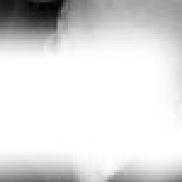 Alt Text for Image