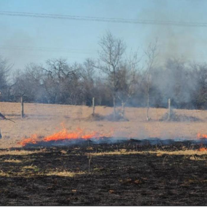 Firefighting in the Mud