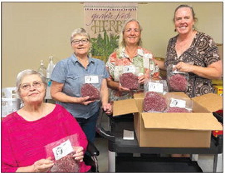 Donation to the Schulenburg Area Food Pantry. Pictured is Carol Berger, volunteer, Lou Berger, board member, Annice McCullough, board member, and Susie Shank, NVCW.