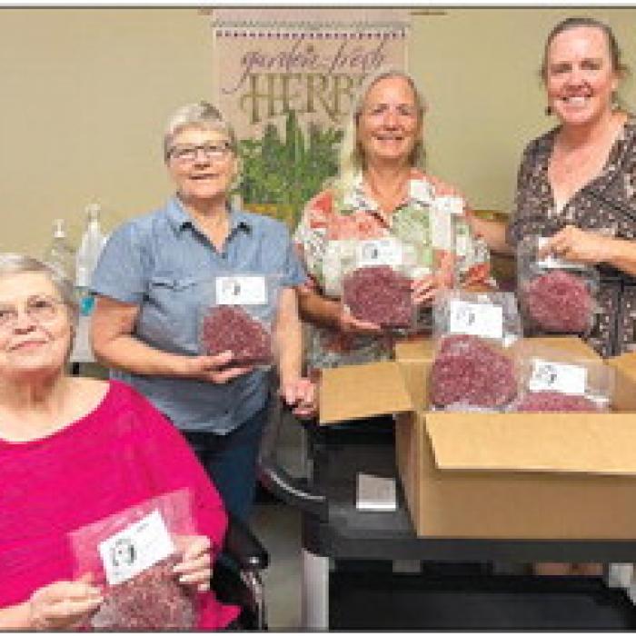 Donation to the Schulenburg Area Food Pantry. Pictured is Carol Berger, volunteer, Lou Berger, board member, Annice McCullough, board member, and Susie Shank, NVCW.