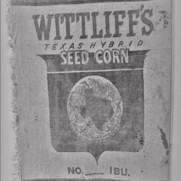 Seed Corn, courtesy of Lillie May Brightwell