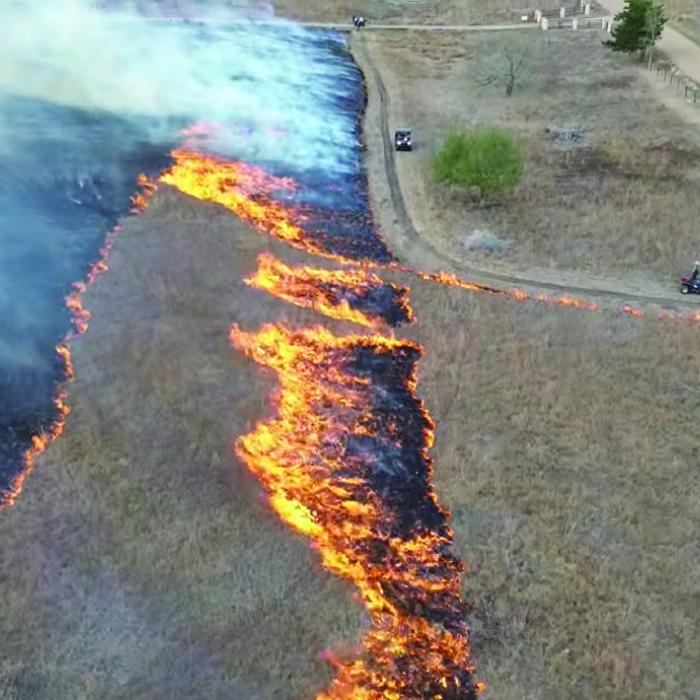 Aerial view of a prescribed burn in Fayette County on Jan. 20, showing an active flame front and established firebreaks used to safely manage native grasslands and reduce hazardous fuel loads.