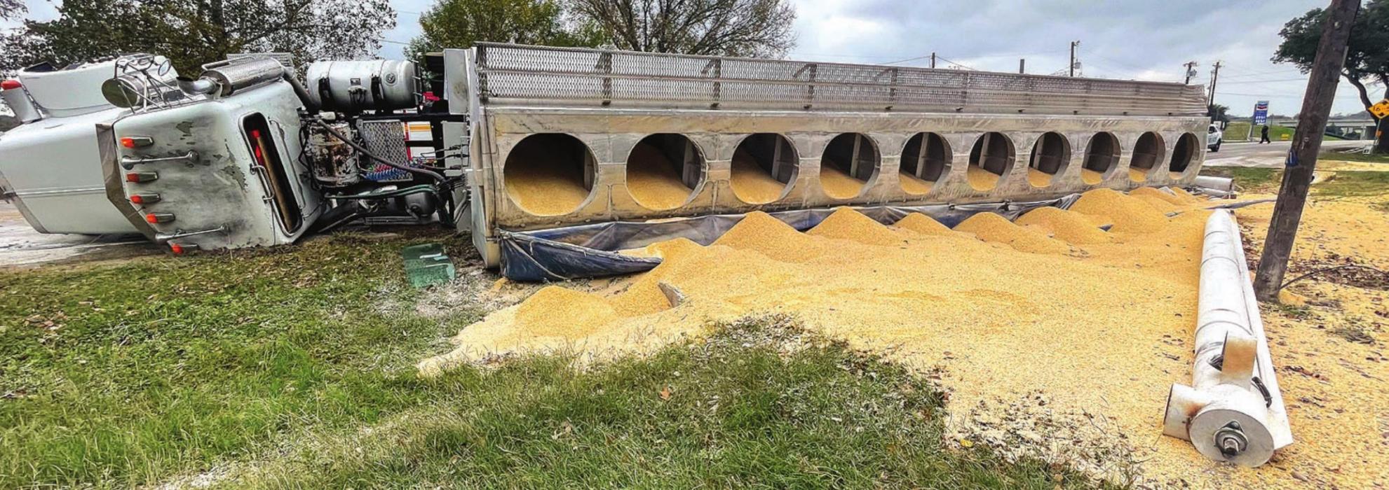 Pictured above is the load of cracked corn that spilled from the trailer of an 18-wheeler that rolled over on SH 159 Friday. Photo by Andy Behlen