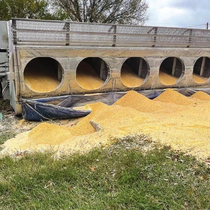 Pictured above is the load of cracked corn that spilled from the trailer of an 18-wheeler that rolled over on SH 159 Friday. Photo by Andy Behlen