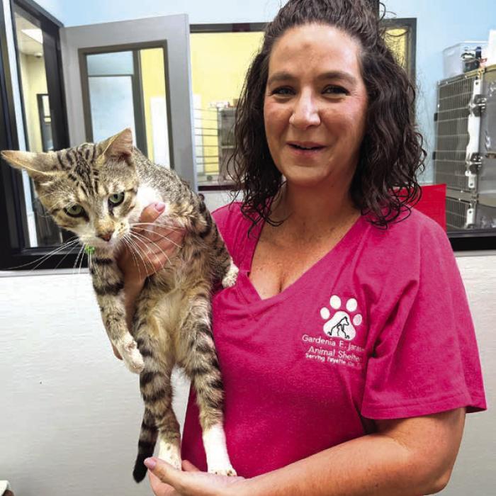 Gardenia Janssen Animal Shelter Director Tiffany Reid holds Puffy, who is happy and healthy and a far cry from how he looked when he arrived at the shelter covered in tar (photo downpage). Photo by Jeff Wick