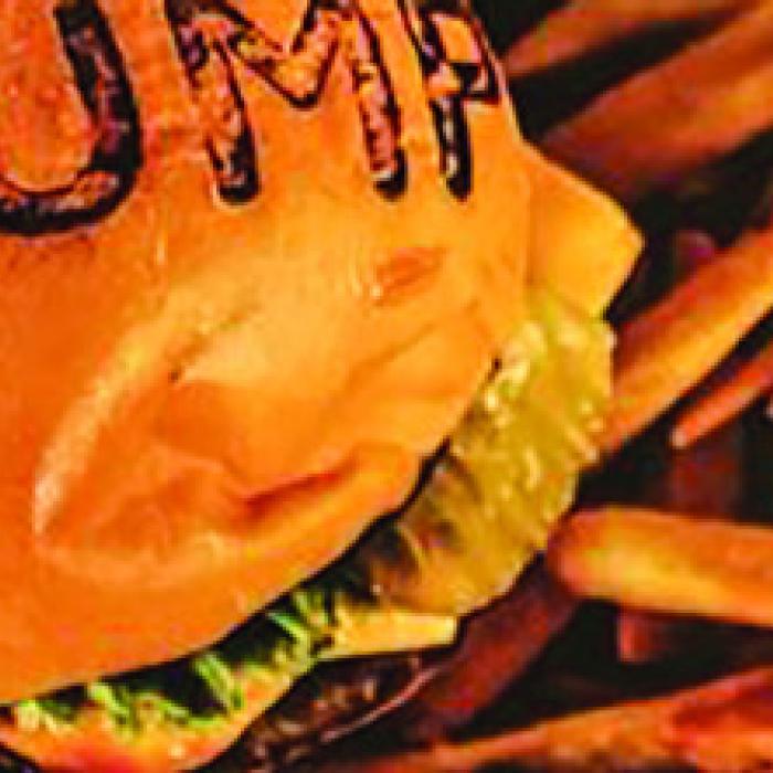 Trump Burger Founder Faces Charges of Flagrant Abuse of U.S. Immigration Laws 