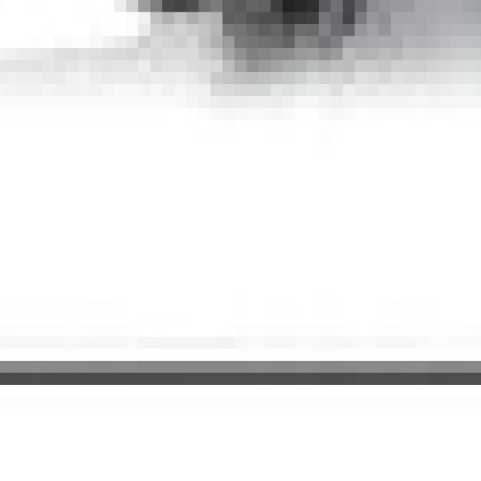 Alt Text for Image