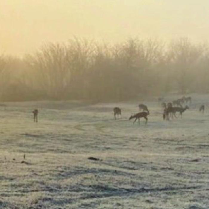 A beautiful snowfall followed by a morning of frozen fog blanketed the area on Sunday and Monday of last week.