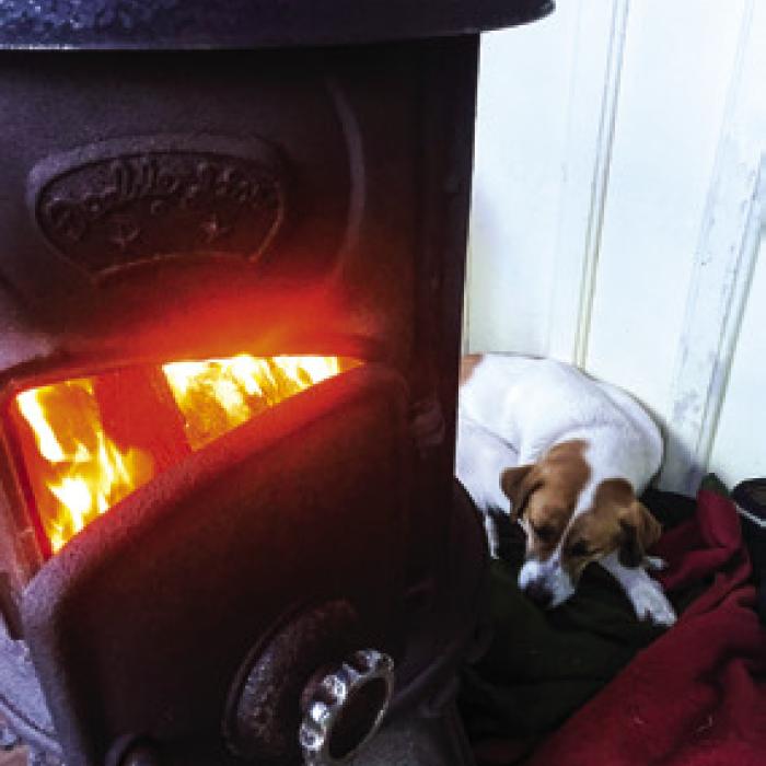 Reporter Andy Behlen shared this photo with me of the old wood stove at his place burning brightly this week, with his dog Sadie curled up near it, staying warm.