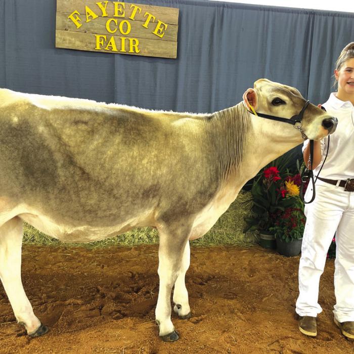 DAIRY SHOW • RESERVE CHAMPION • BROWN SWISS Landry Zapalac