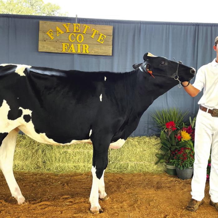 DAIRY SHOW • GRAND CHAMPION • HOLSTEIN Blaine Zapalac