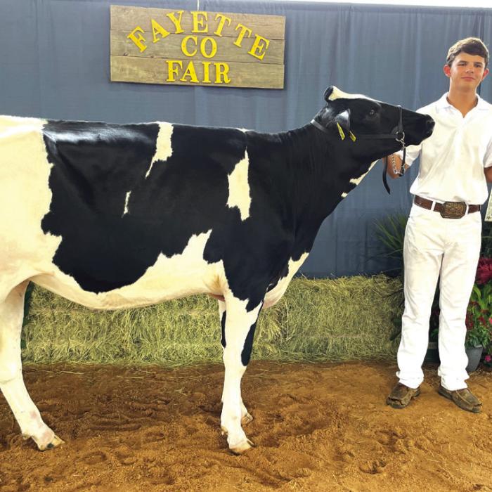 DAIRY SHOW • RESERVE CHAMPION • HOLSTEIN Blaine Zapalac