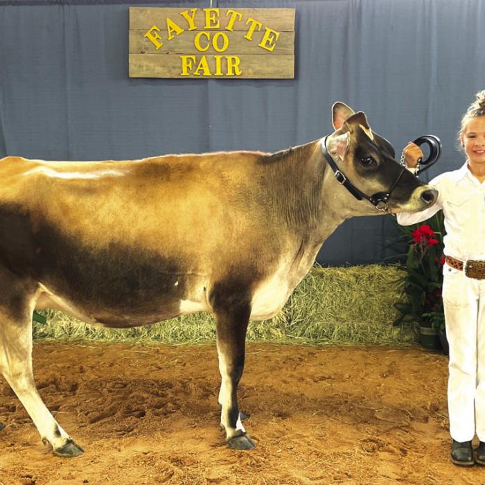 DAIRY SHOW • GRAND CHAMPION • JERSEY Kinlee Peikert