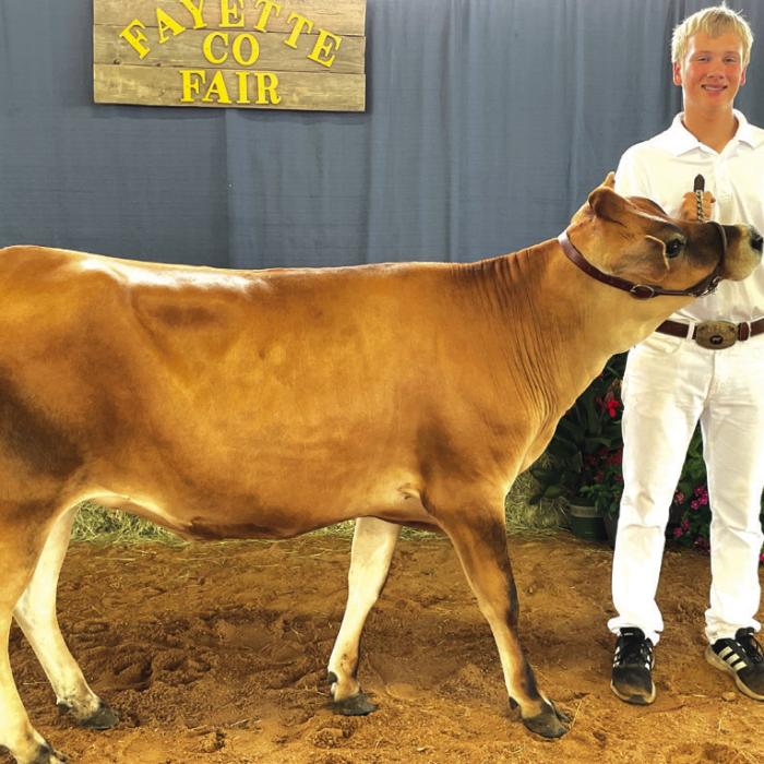 DAIRY SHOW • RESERVE CHAMPION • JERSEY Nathan Henke