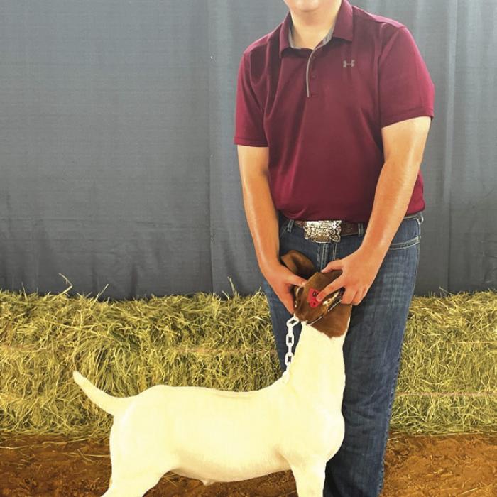 GOAT SHOW • SENIOR RESERVE SHOWMANSHIP Neil Johnston