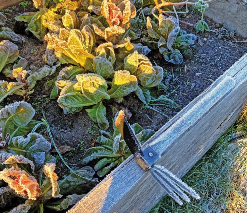 Don’t Let the Cold Weather Limit Your Gardening