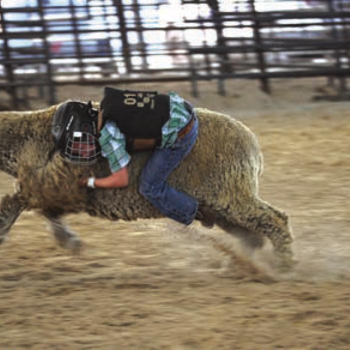 FAYETTE CO. FAIR