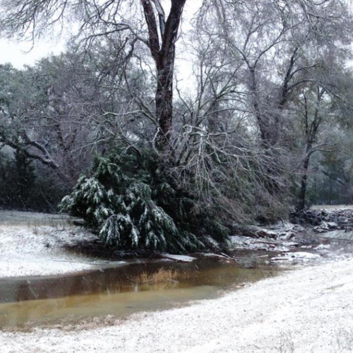 Snow along Cedar Creek west of downtown Carmine on Jan. 10.