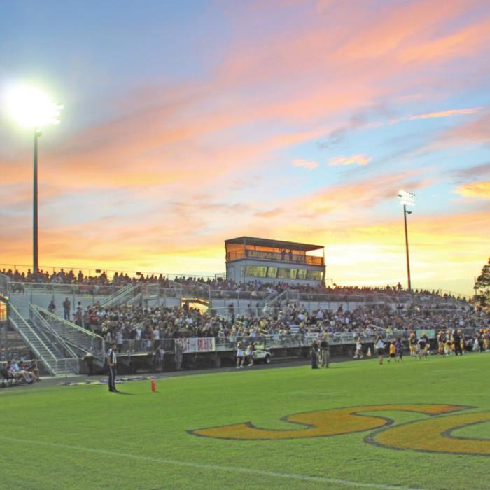Leopard Stadium is getting artificial turf and a new track.