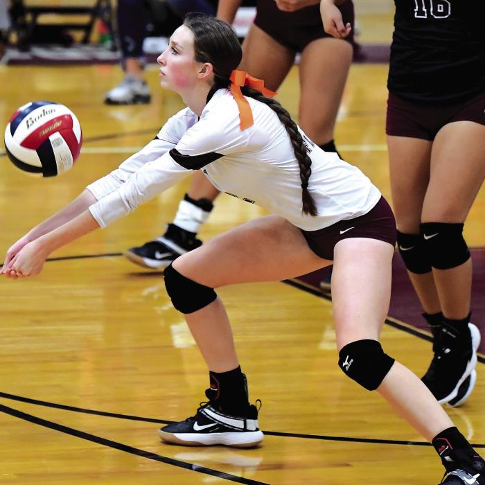 Lady Bulldogs Beat Louise