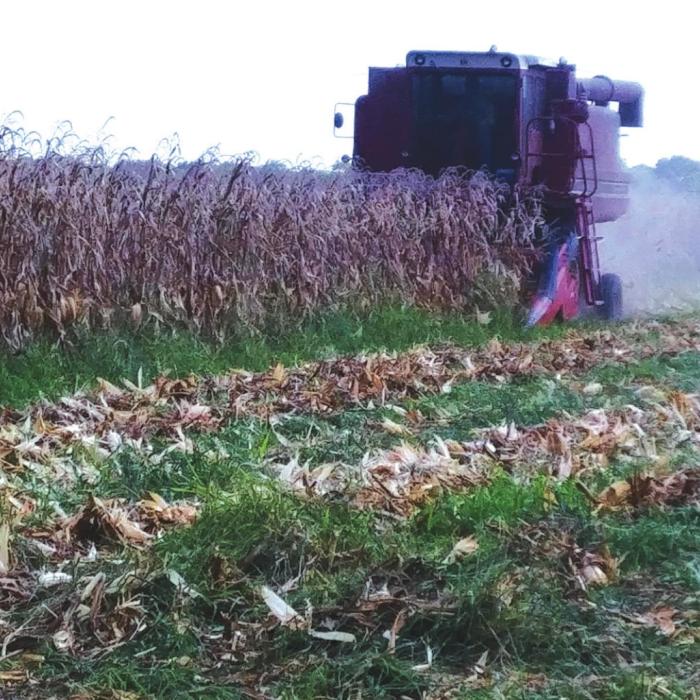 Pictured is a 40-year-old combine owned by the Tonn family, friends of David and Linda Lehmann.