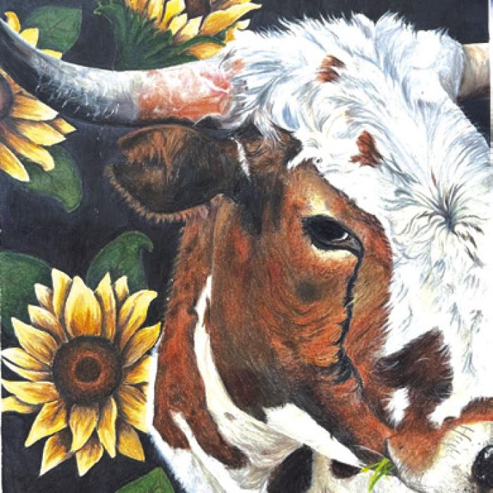 Harlee Hayek, Best of Show HS