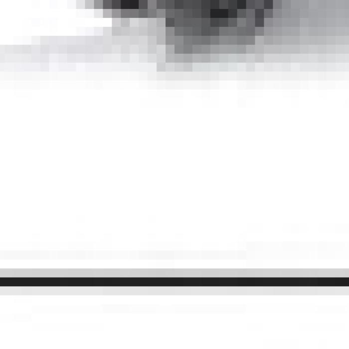 Alt Text for Image