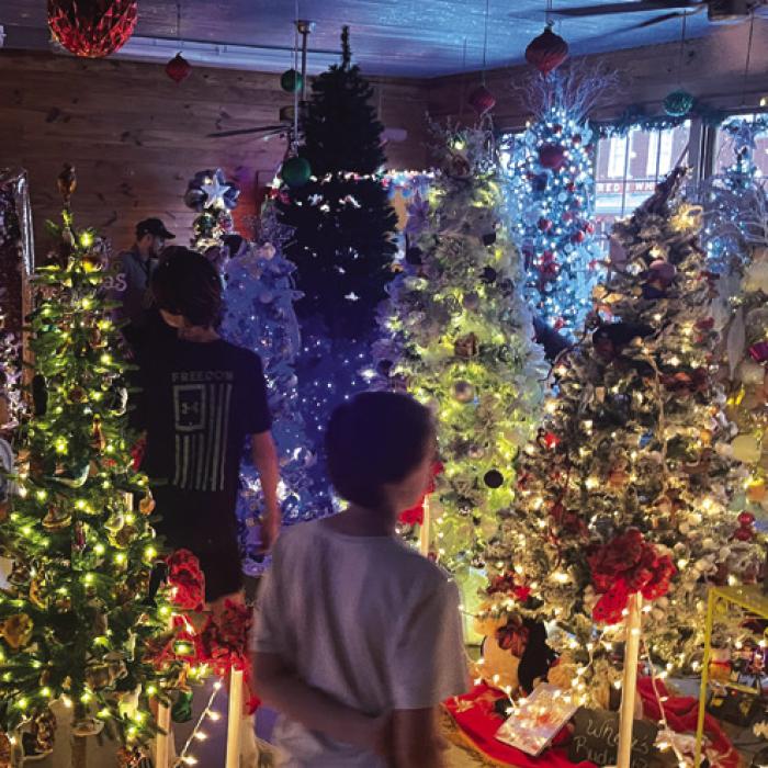 Christmas trees, decorated in all sorts of themes, again filled the Fayetteville fire house for the Country Christmas celebration.