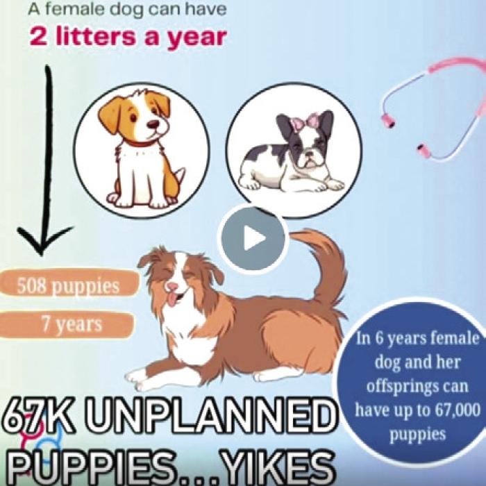 A note from reader Denise Winter: Spay/ neuter is the answer to the big problem of overpopulation and overcapacity at shelters. Gardenia Janssen Animal Shelter (979-966-0021) has vouchers for cats &amp; dogs. PUPS Prevent Unwanted Pets (979-732-5591) does as well.