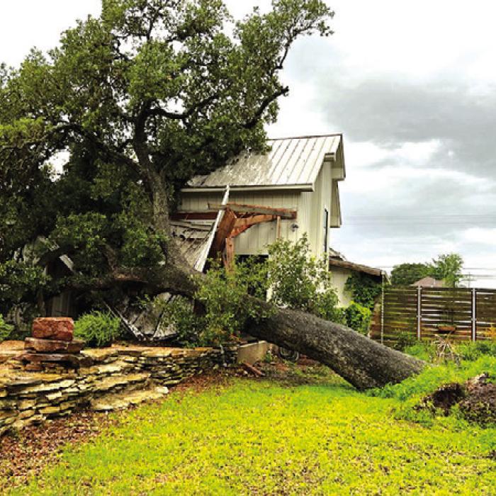 Big Oak Falls, Crushes Porch in LG