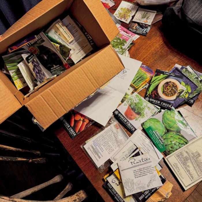 An anonymous reader sent me a big box of seeds they can no longer use. The oldest are only from 2022, so I think a lot of them will germinate.