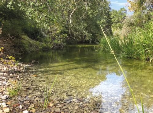 Ross Creek near Ellinger.