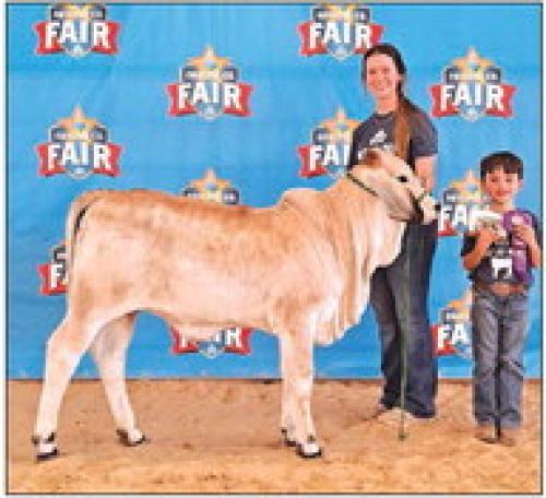Fayette County Fair Bucket Calf Competition