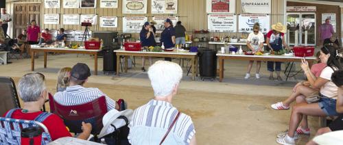 The chopped challenge was well attended at the Ellinger Chamber of Commerce hall on Saturday evening for the annual Tomato Festival. The weekend was successful and all enjoyed the festivities.