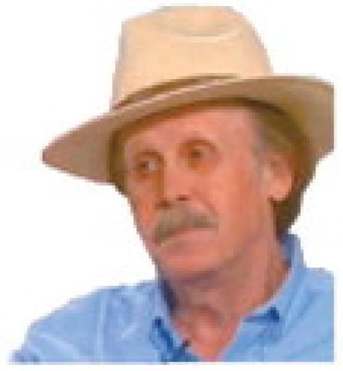 Alt Text for Image