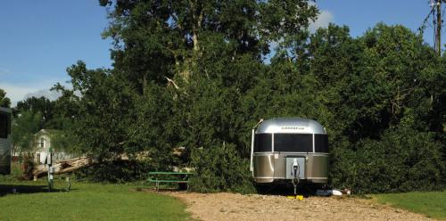 A large tree fell on an Airstream travel trailer at Colorado Landing RV Park on Tuesday, Aug. 27. The tree fell during the storm that passed over La Grange Tuesday afternoon. Staff at the park said no one was inside the trailer at the time.