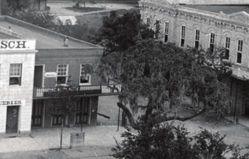 This detail from an early 1890s photograph by Louis Melcher shows the Historic Oak laden with Spanish moss in front of the old red brick Sinks building. Photo courtesy of the Fayette Heritage Museum and Archives