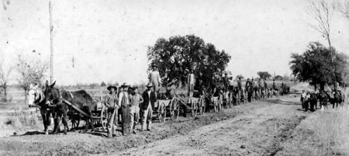 The Cedar Farmers Good Road Club built over 5,000 yards of Good Road in 11 days in Feb. 1921 near La Grange, Tex. Gravel was from 14 to 16 inches thick. Photograph by Louis Melcher, Courtesy of the Fayette Heritage Museum and Archives