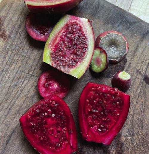 Getting Prickly Our gardening columnist harvests and enjoys some prickly pear fruit. Page C1